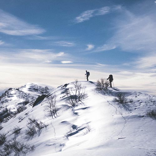 Vinterscouting Vinterscouting