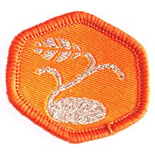 Miljön deltagandemärke äventyrare 10-pack