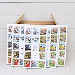 KFUM & Scouternas Almanacka 2026 15-pack